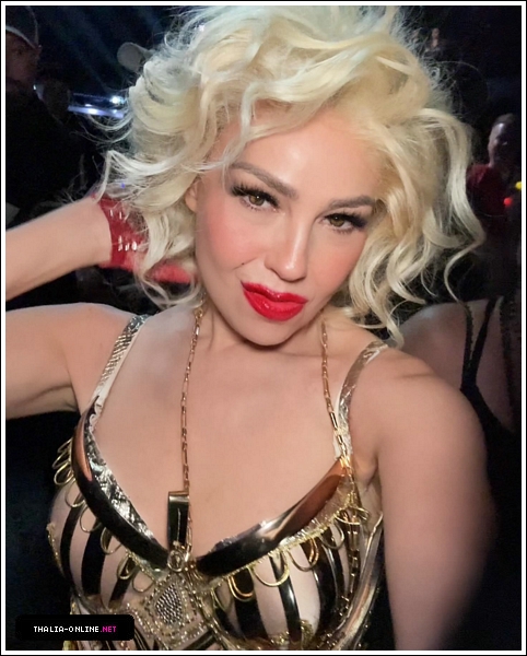 04.jpg