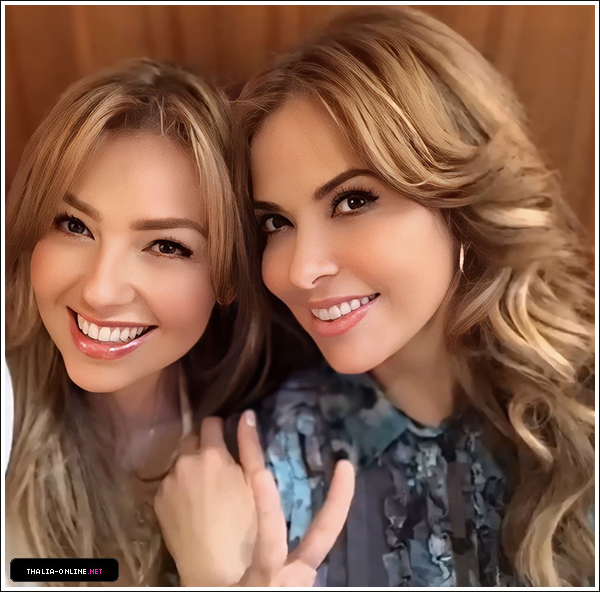 04.jpg